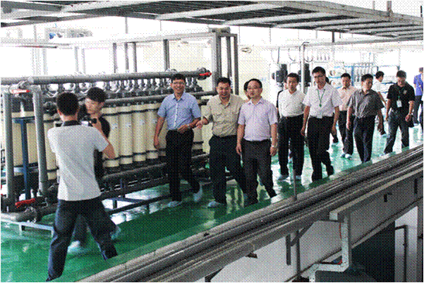 东升国际官网科技通过清洁生产审核验收